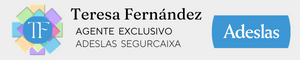  Seguros  Adeslas SegurCaixa 